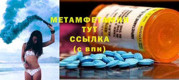 сатива Балахна