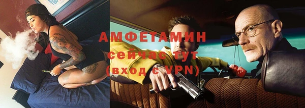 сатива Балахна