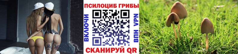 Галлюциногенные грибы прущие грибы  Озёрск 